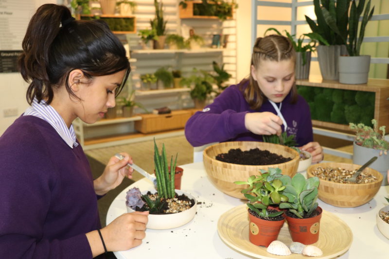 Students caring for plants in our Futures Hub